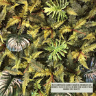 Samambaias Toque Natural Kit Com Vinte E Quatro Buquês | Flor